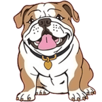 JH-Bulldog