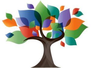 Follett Destiny Library Catalog