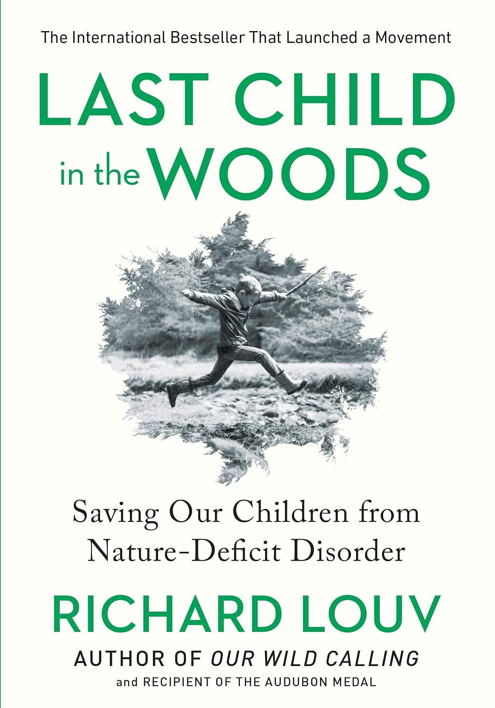 Last Child in the Woods Book Cover